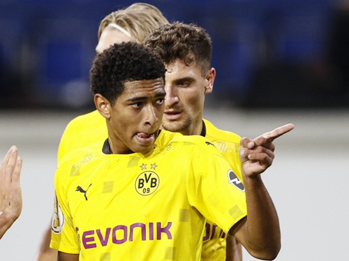 森林狼本场 森林狼本场